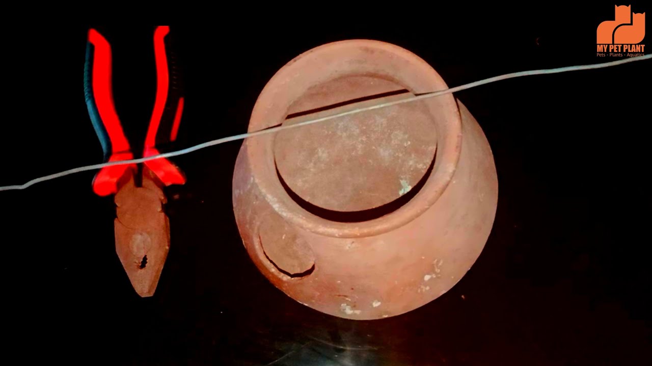 How to Hang Birds Pot Inside the Birds Cage | Love Birds Breeding pots in Malayalam | My Pet Plant