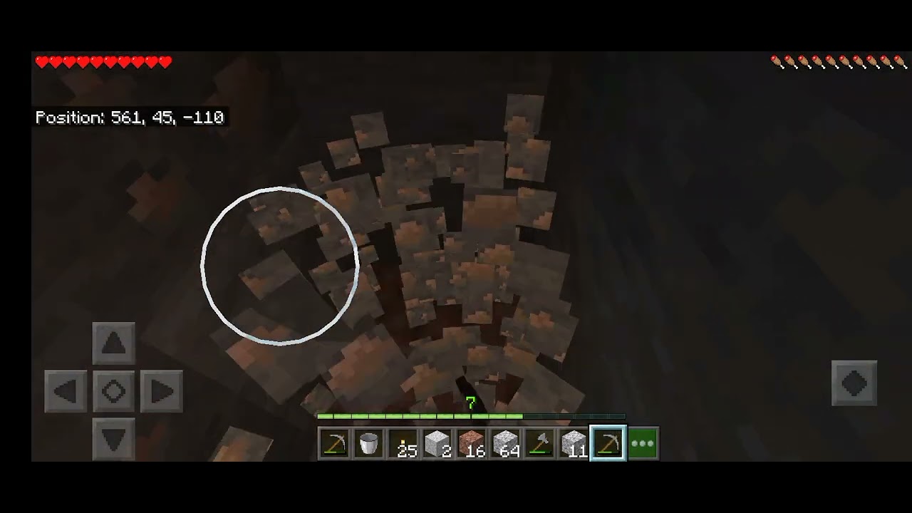 Day 8 Playing Minecraft in Dei
