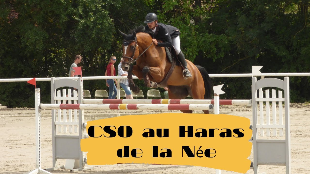Après cette tragédie, ils se relèvent...