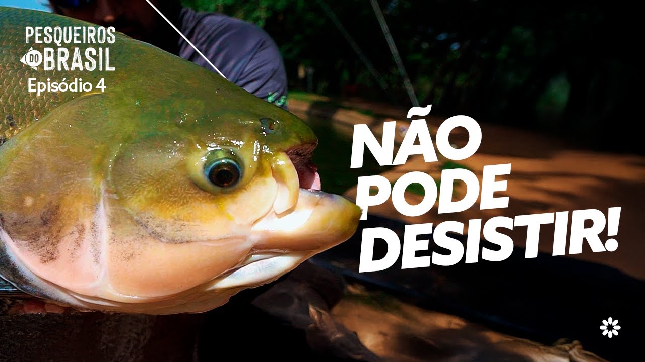 AÇÃO FORA DO COMUM! Pescaria Insana no Pesqueiro Santa Clara