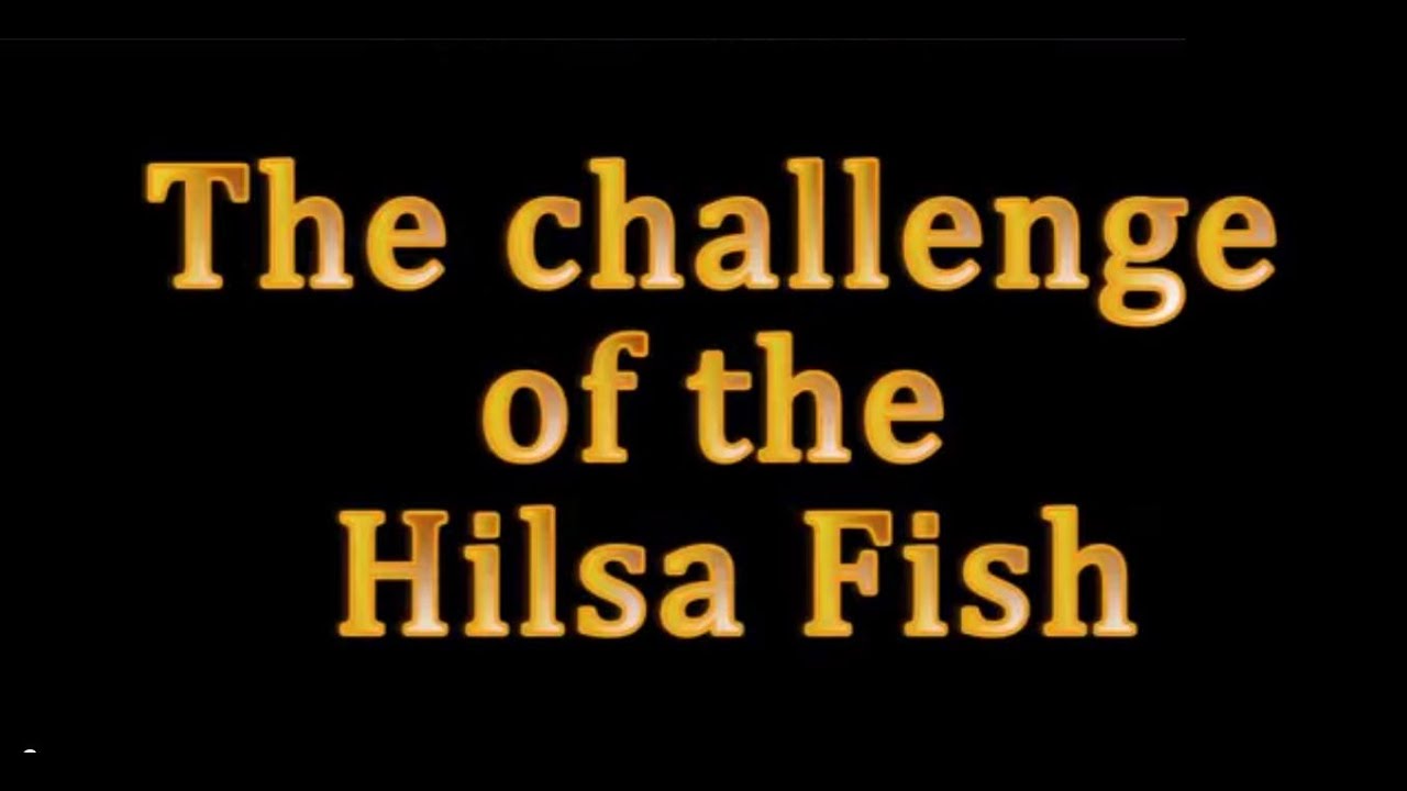 Illustrated Story - The challenge of the Hilsa Fish