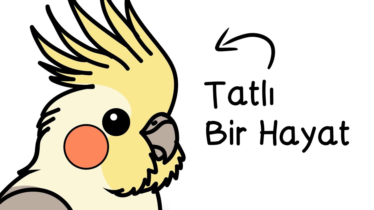 Eğer Bir Sultan Papağanı Olarak Doğsaydın?