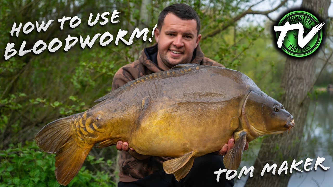 **HOW TO USE BLOODWORM WITH TOM MAKER- MONSTER PARTICLES TV**