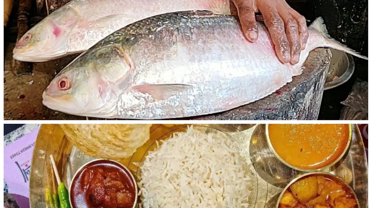 Ilish Maach ইলিশ মাছ 🤤 @BestEverFoodReviewShow @BongEats