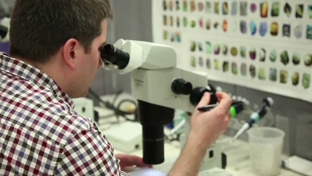 U of Pennsylvania, Dept of Biochemistry & Biophysics - Molecular Mechanisms in Medicine
