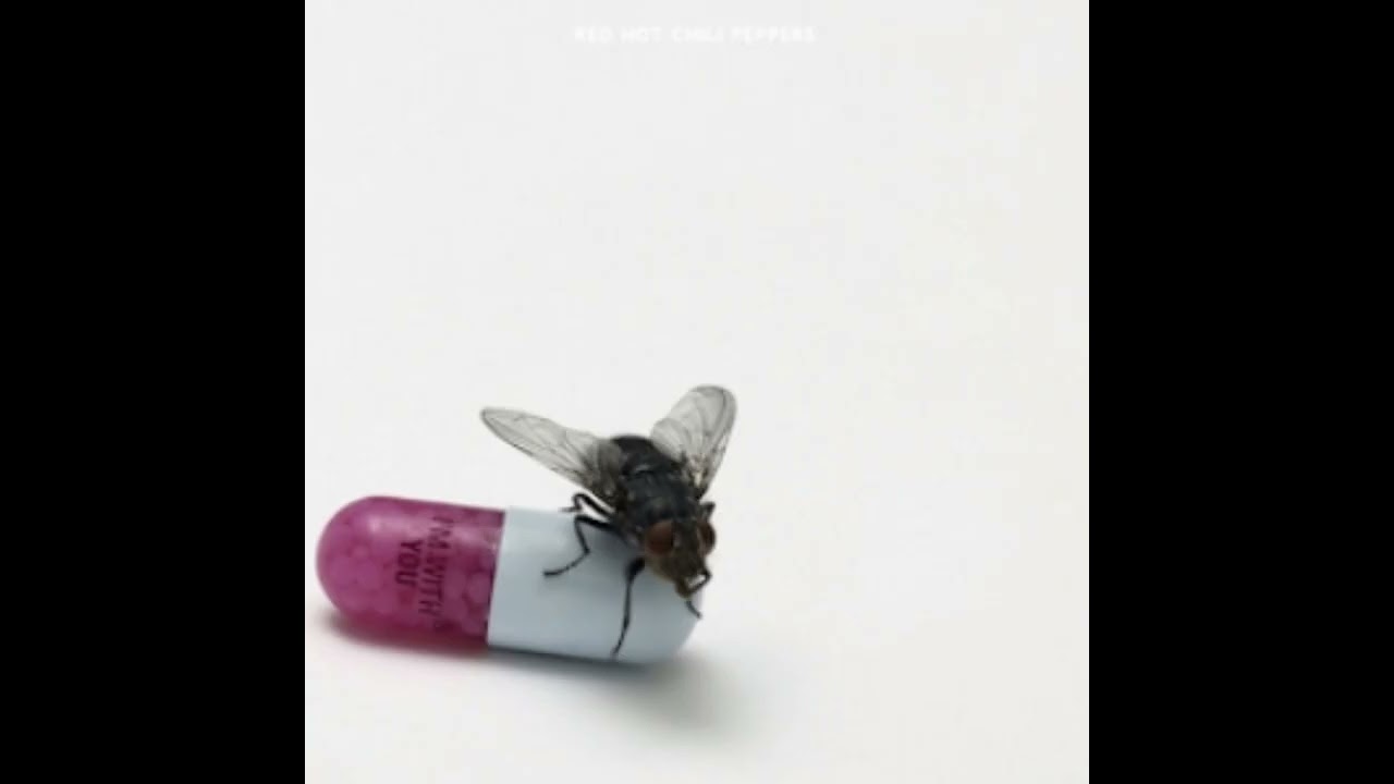 Red Hot Chili Peppers - Brendan's Death Song (B Standard Tuning)