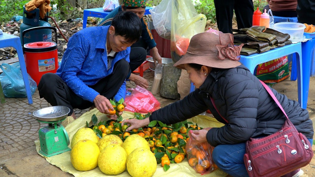Small Tangerine Harvest & Forest Pomelo Goes to the market to sell | Solo Survival