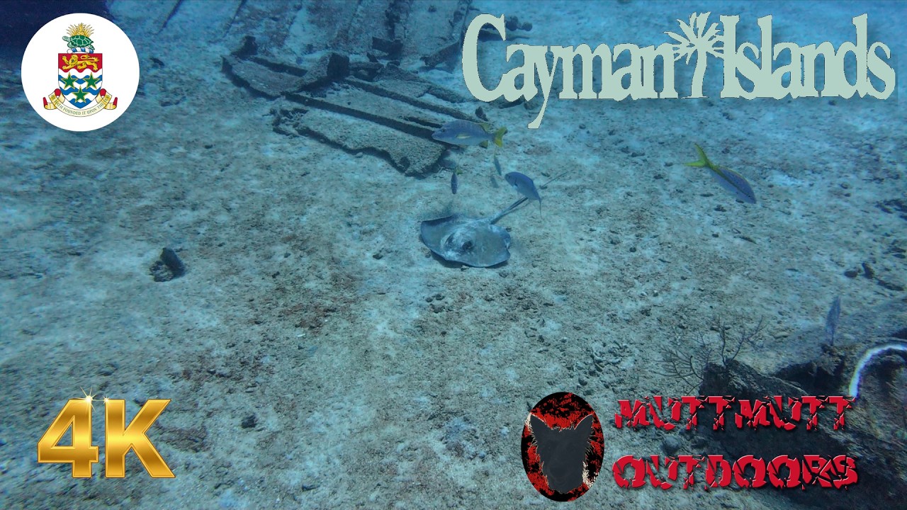 4K Wreck Diving in Cayman Islands! 🐢 Stingray, Sea Turtle & GIANT Shipwreck 🚢 | MuttMutt Outdoors