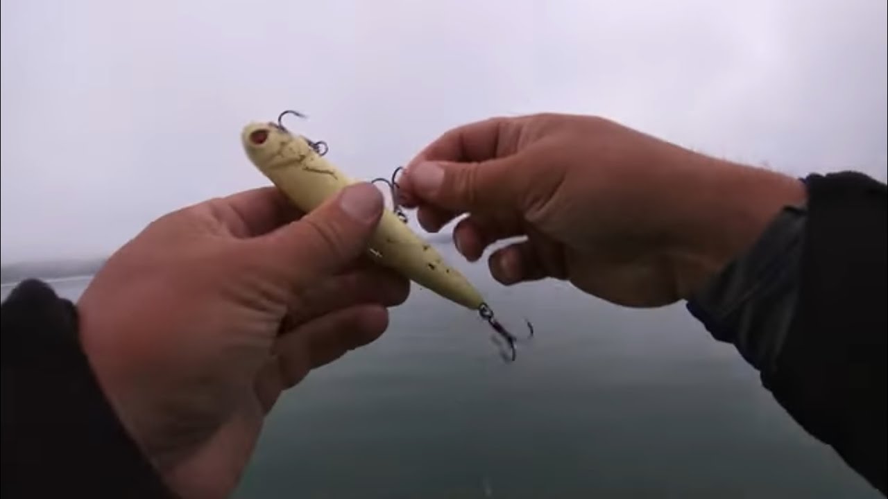 Мы заставили их танцевать хвостами на озере Дуглас!