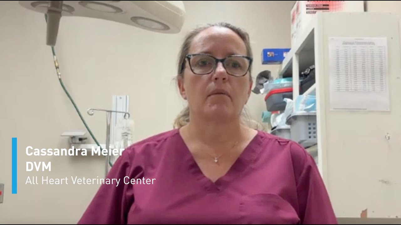 Listen to Dr. Meier's experience using VETIGEL&reg;