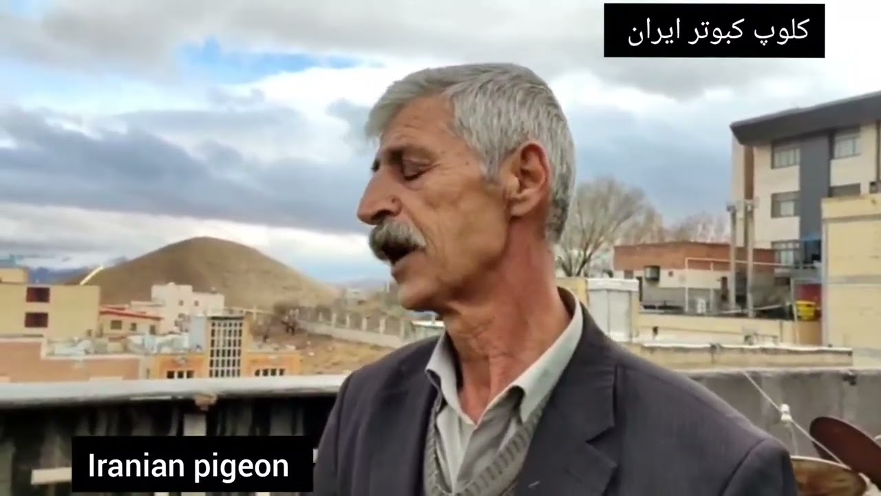 ❤️کبوترا و سخنان آقای  رستم بهمنی از ایران_ استان چهار محال و بختیاری_ #شهرکرد Iranian pigeon