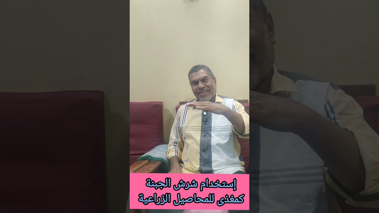 #شرش_الجبنة