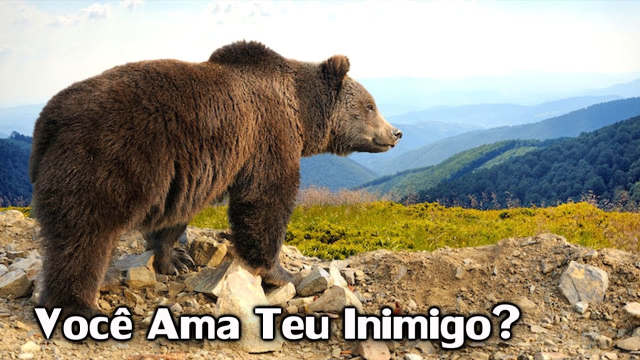 Se você não puder amar a teu inimigo - Ir. William Branham