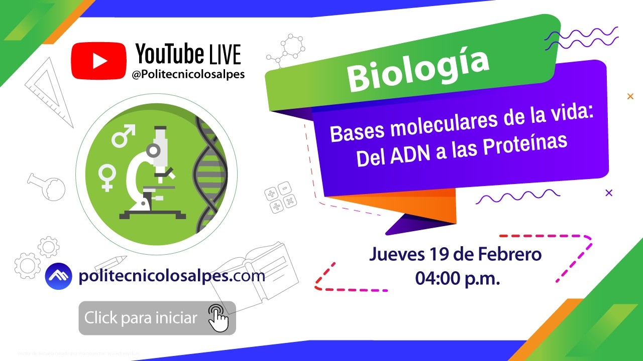 🔬✍️ Biología  |   Bases moleculares de la vida: Del ADN a las Proteínas   🔬✍️