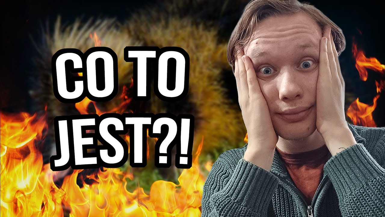 🐛 5 ZWIERZĄT O KTÓRYCH ISTNIENIU NIE MIAŁEŚ POJĘCIA