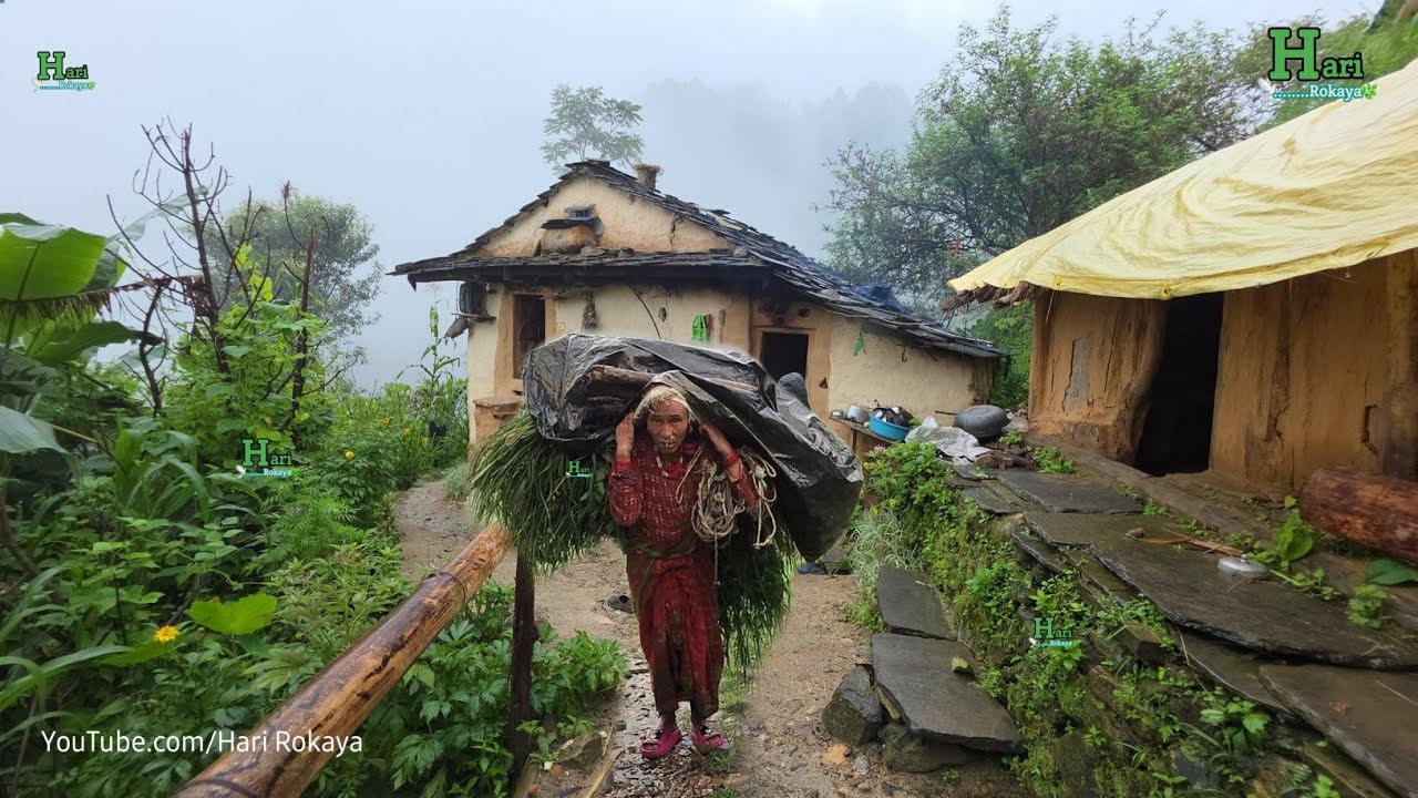 Beautiful Nepali Mountain Village Lifestyle | Nepali Village Documentary Video |Organic Food Cooking