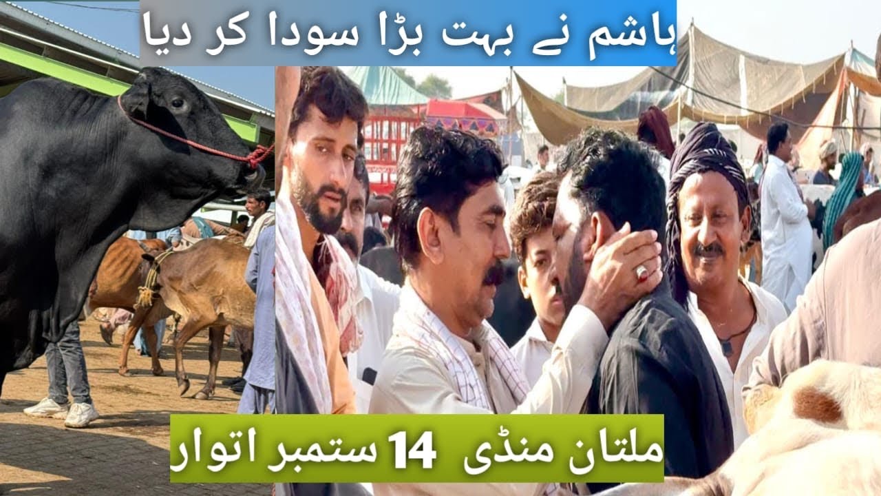 Hashim Ny 2 ￼Bachron Ka Soda Kr Diya Multan Mandi 14sep 2025 