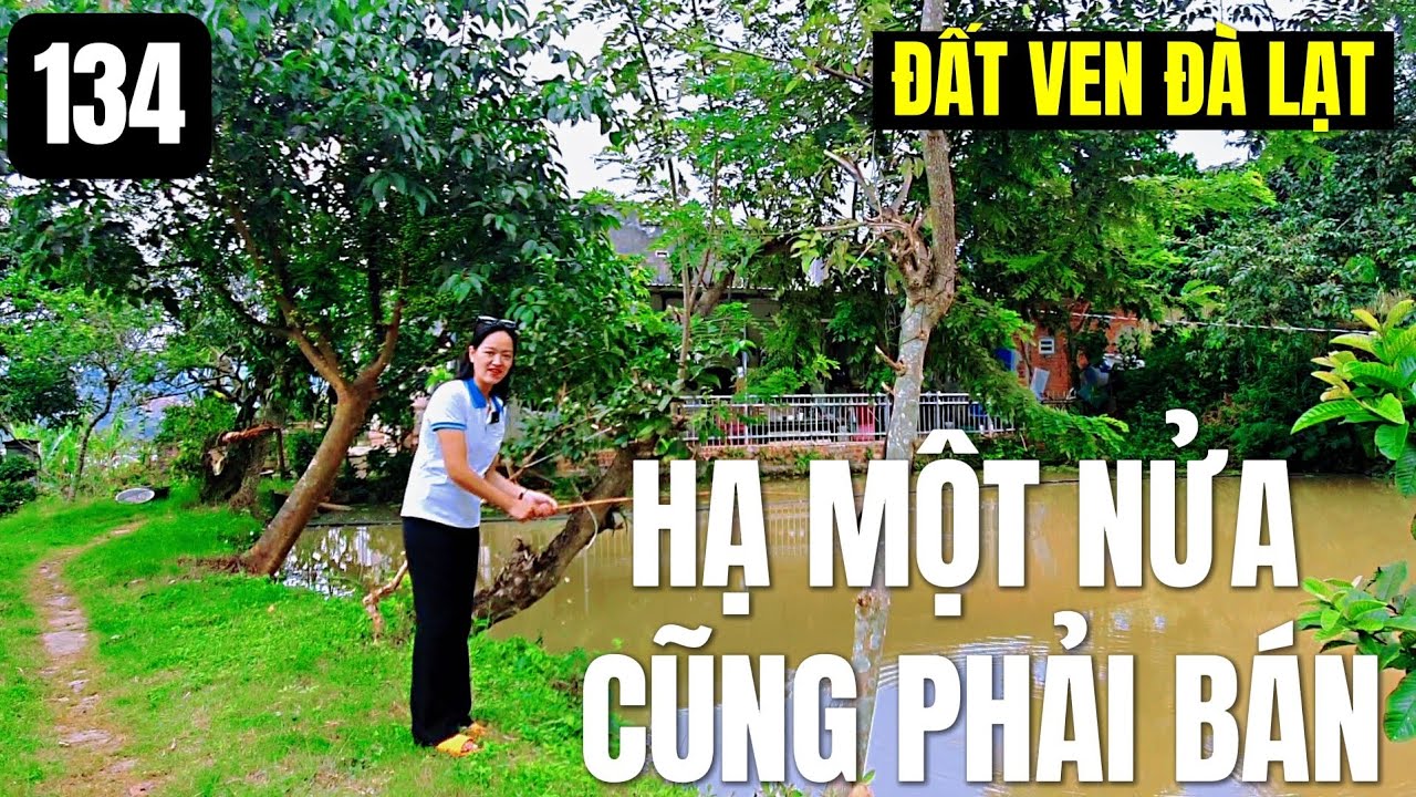 (ĐÃ BÁN)Vườn ngay trên dãy núi Voi Đà Lạt|Giảm nửa giá rồi |sẵn nhà vườn ao cá đẹp mê ly