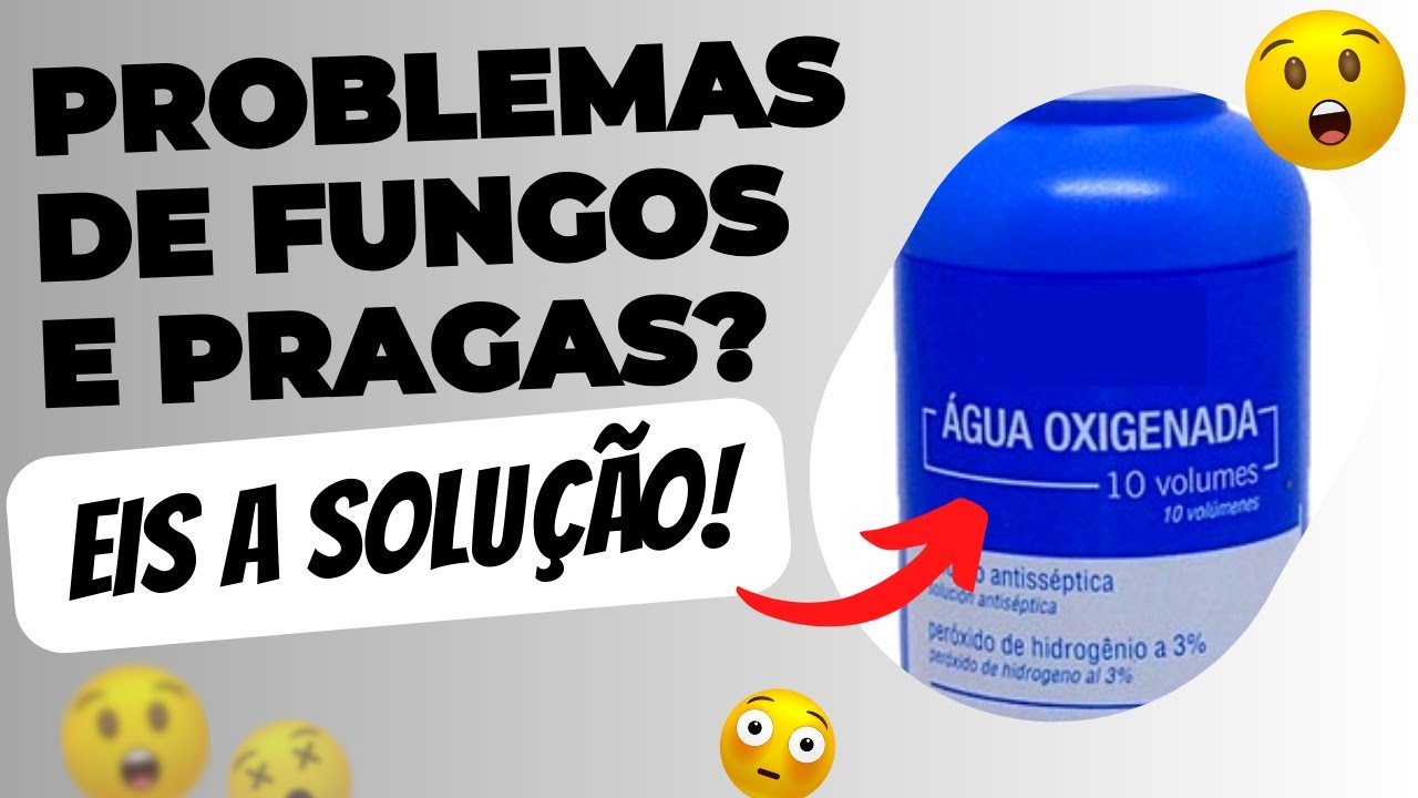 SALVE sua SUCULENTA com ÁGUA OXIGENADA