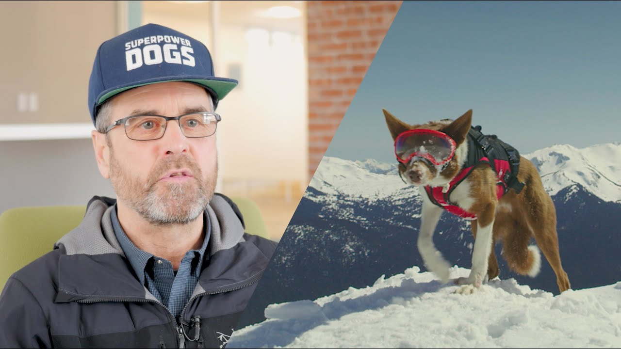 Superpower Dogs: Henry and his handler Ian