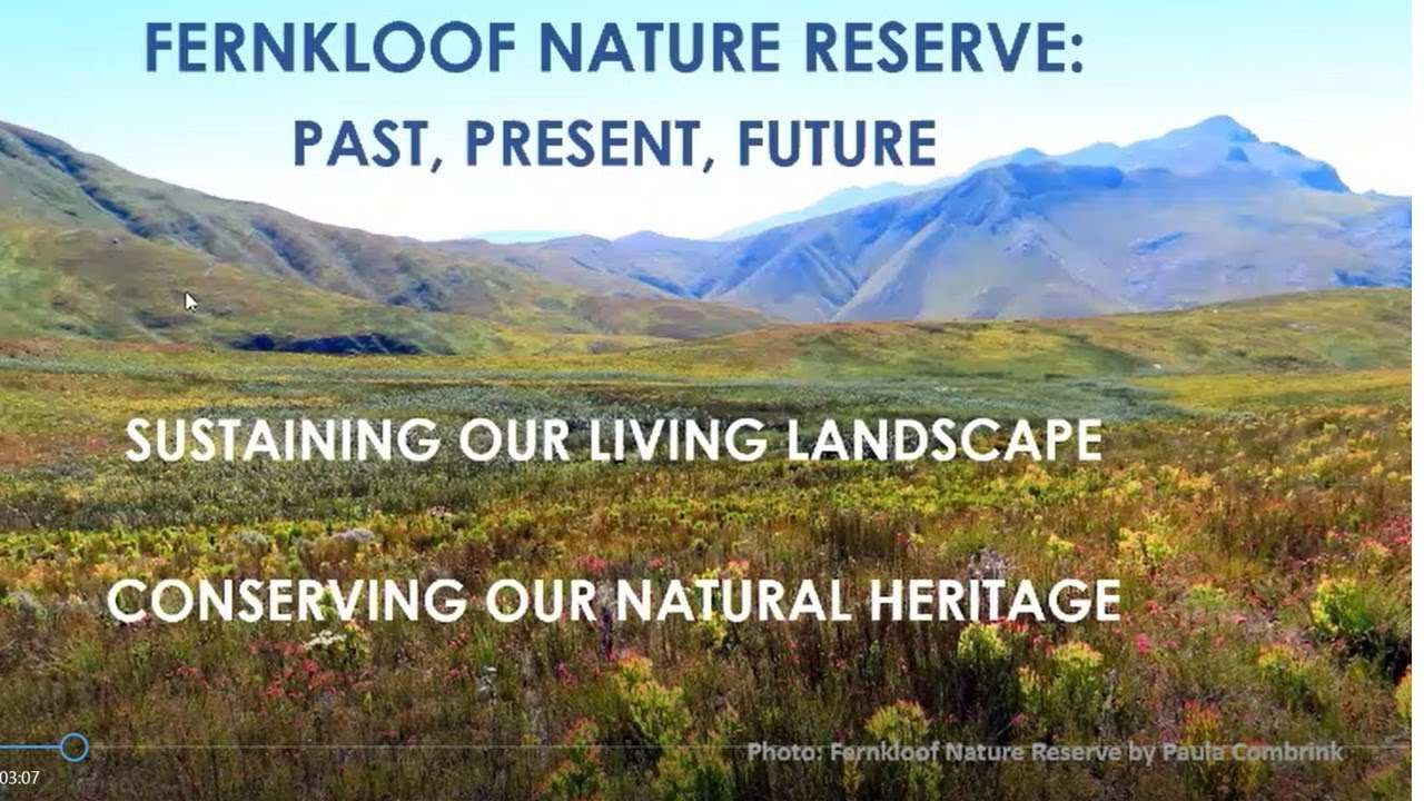 The Fernkloof Nature Reserve by Dr Robin Lee