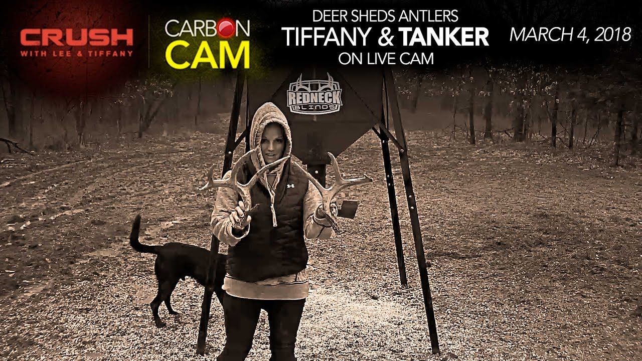The Crush Live Deer Cam | Tiffany Lakosky Finds Whitetail Sheds on Live Camera