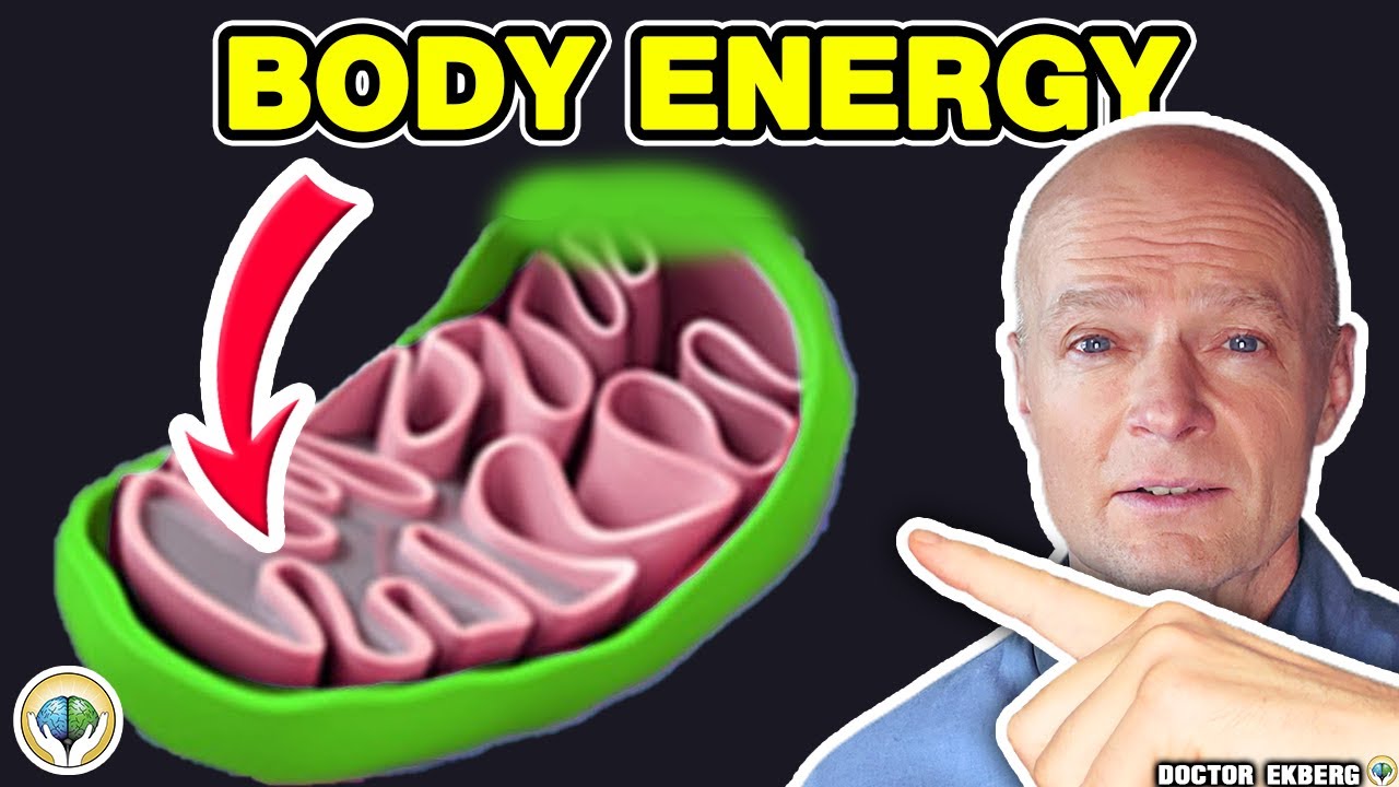 Anti-Aging Pt 4 - Mitochondria  - User Manual For Humans S1 E20 - Dr Ekberg