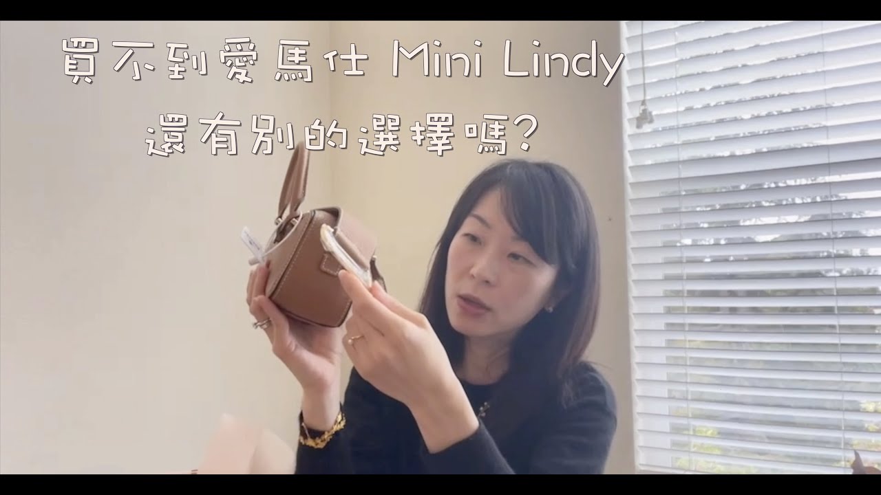 買不到愛馬仕mini lindy 有別的選擇嗎?! Delvaux cool box nano 可愛的讓人尖叫.