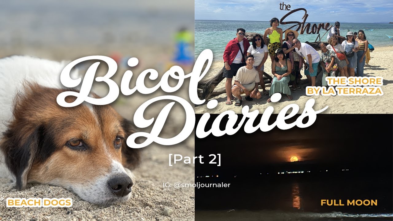 🐶 Pet-friendly resort in Bicol | The Shore by La Terraza Resort | Holy Week 2023 (Bicol pt. 2)