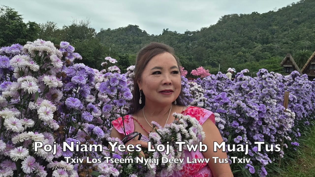 Poj Niam Yees Los Twb Muaj Tus Txiv Los Tseem Nyiaj Deev Lawv Tus Txiv 2-12-26