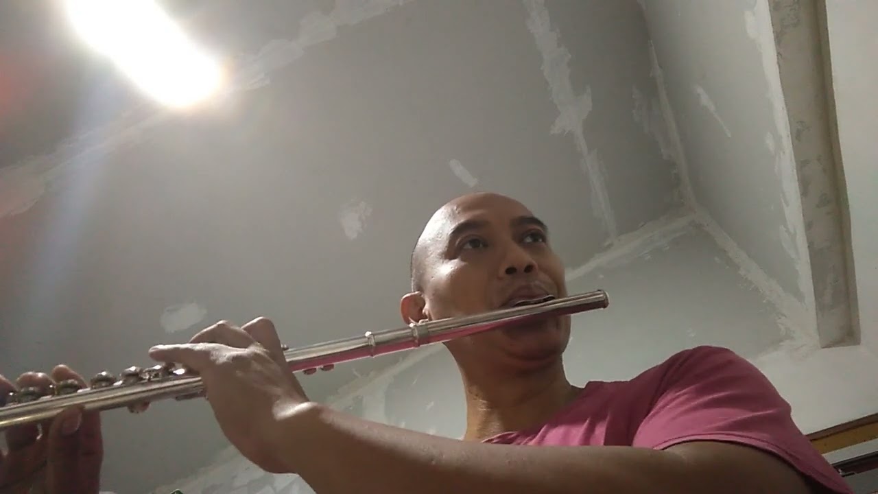 Yamaha Flute YFL 222 made in Indonesia - after servis with @HW_repairs