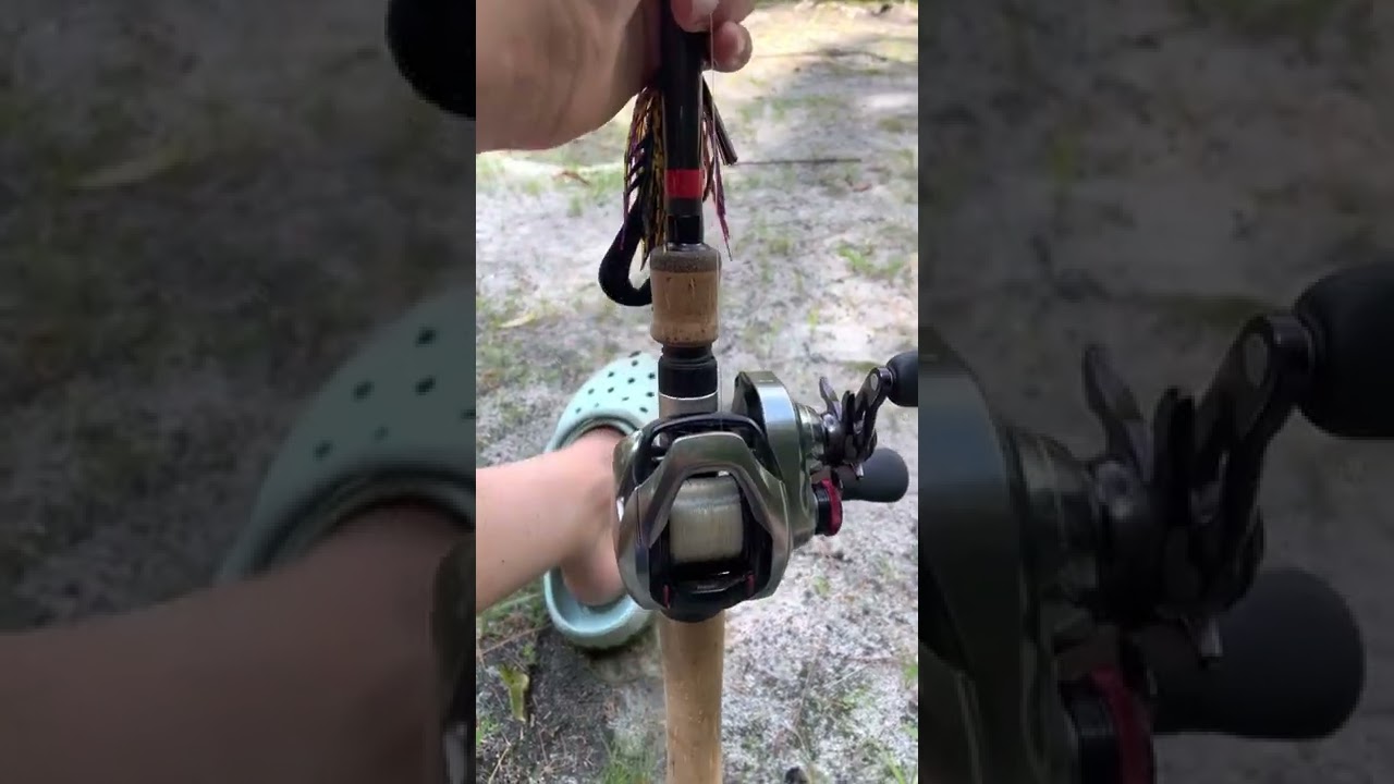 Review on the g loomis GCX rod and shimano scorpion reel