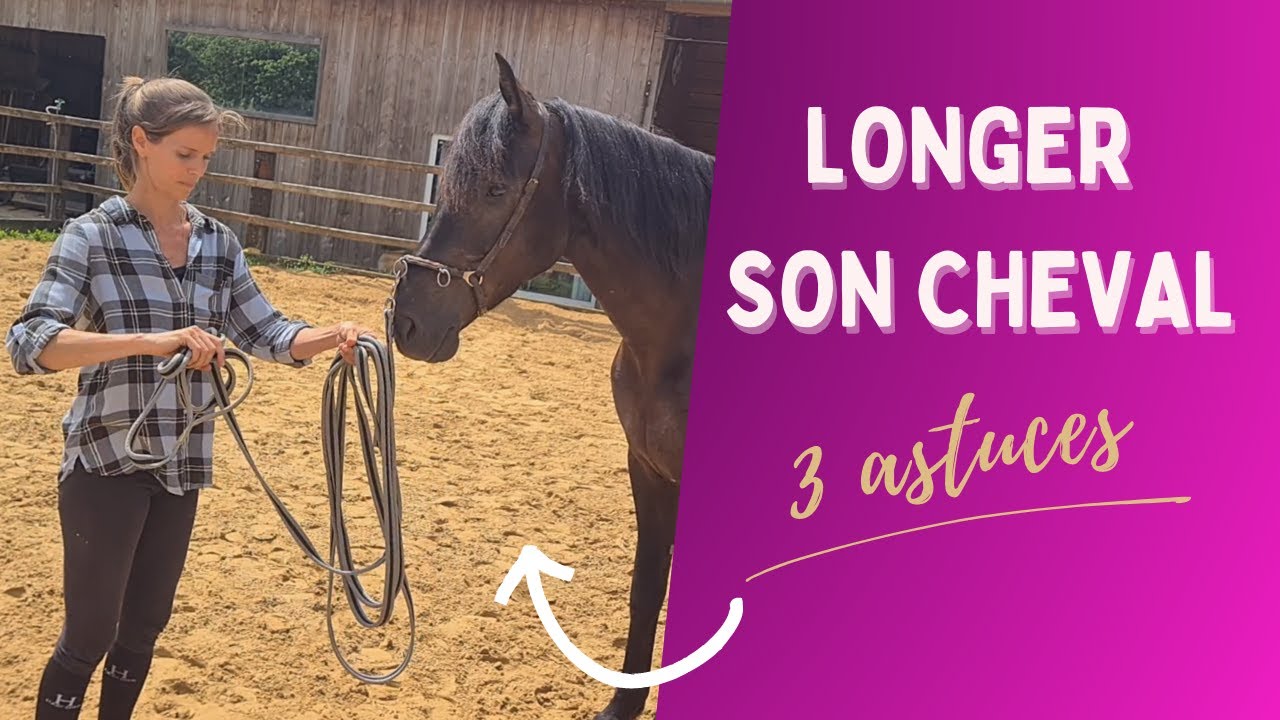 ⭐ 3 astuces simples pour longer son cheval ⭐