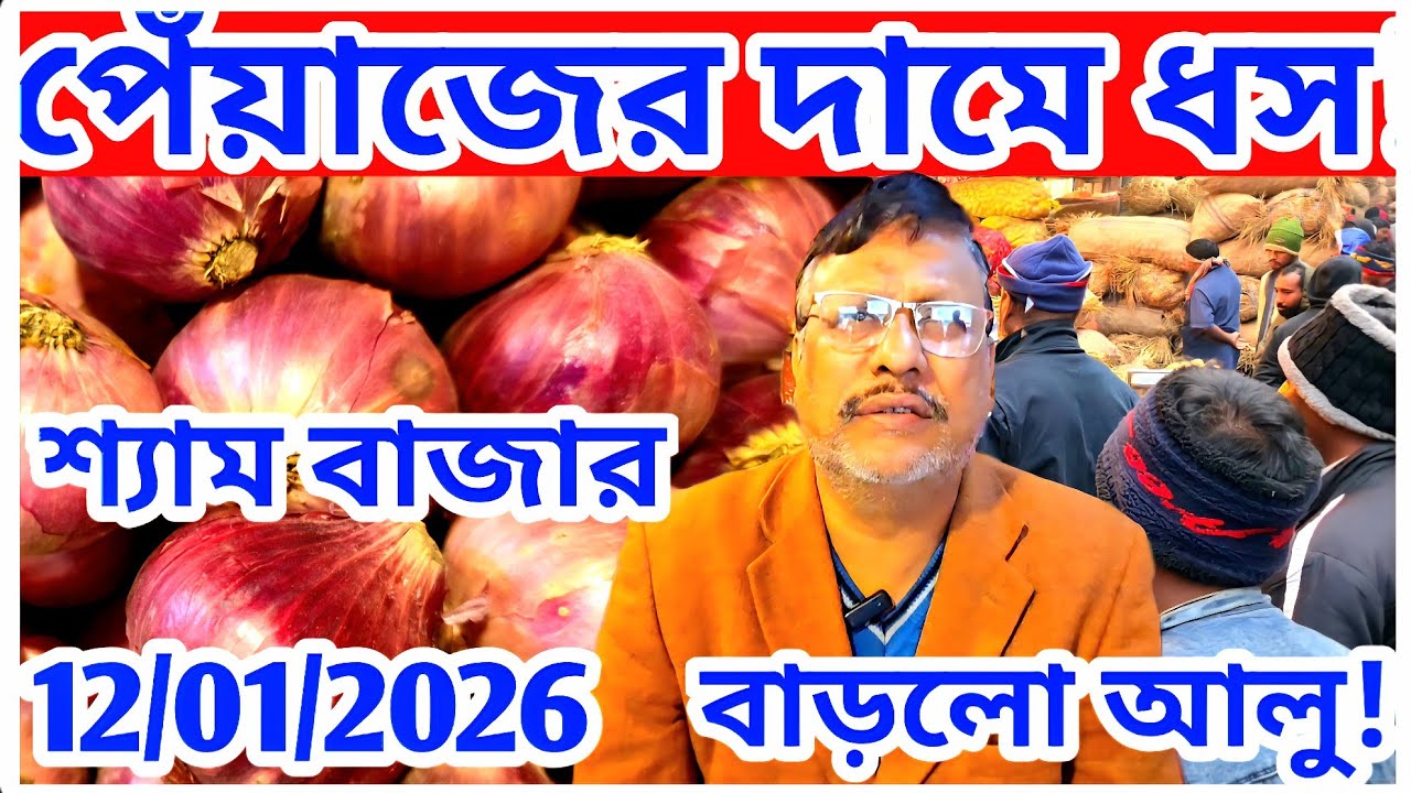 পেঁয়াজের দাম 12/01/2026 প্রচুর কমে গেল! প্রচুর বাড়লো আলুর দাম! রসুনের পাইকারি দর? onion Price  