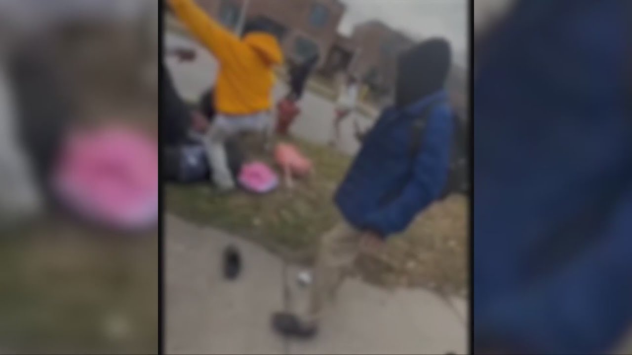 Community outraged after viral video shows mom, children being jumped by students outside South Deer