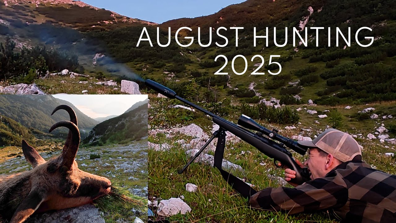 Chamois and Roebuck Hunting, August 2025, Season start!