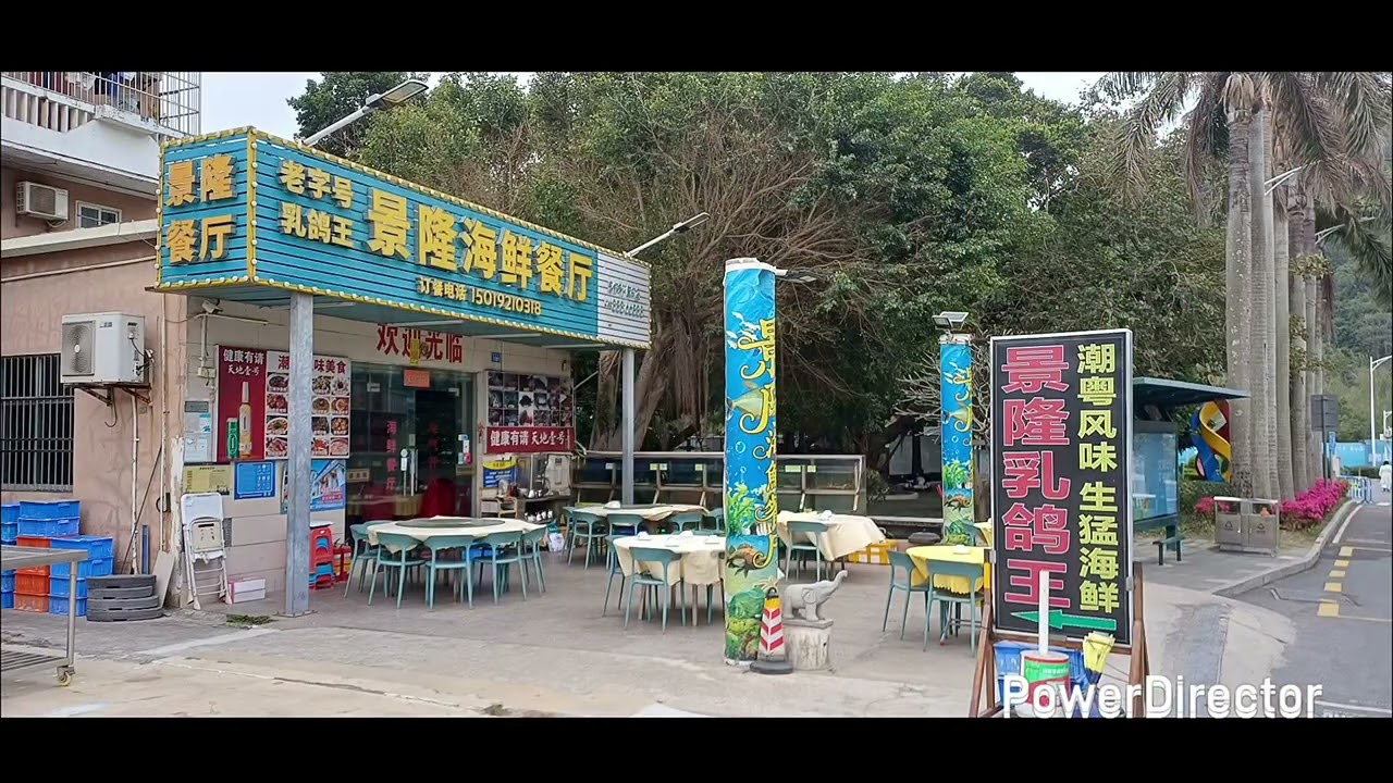 20260121_深圳地鐵遊 蓮塘口岸過關，乘地鐵到桃園站；到歡樂頌商場早茶；上午11点到南山文体中心，免費長者羽毛球活動；下午乘地鐵去新溪涌站，遊覽溪涌棧道，溪涌工人泳灘；下午4点回程蓮塘口岸過關。