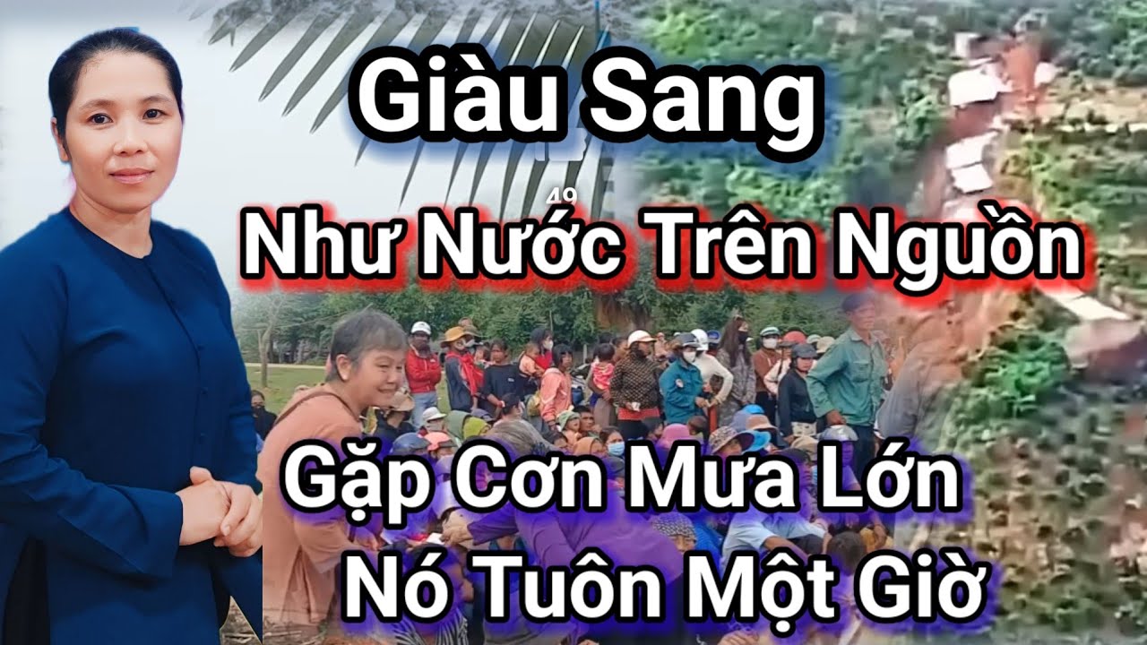 🌺Giàu Sang Như Nước Trên Nguồn, Gặp Cơn Mưa Lớn Nó Tuôn Một Giờ🙏😭