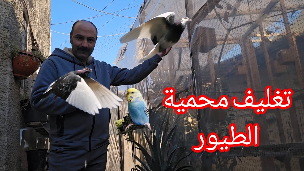 غلفت محمية الطيور وانتاج جديد ومعلومات 