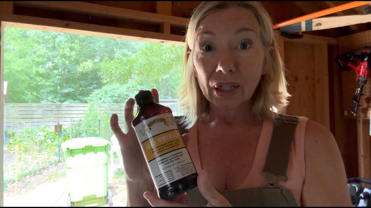 A Must-Have Chicken Supplement! 🐔 Rooster Booster Poultry Cell Review