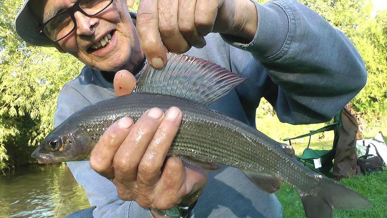 570 Relaxing evening on my local beck