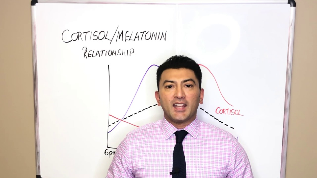 Cortisol/Melatonin Relationship. Dr. Vyas.