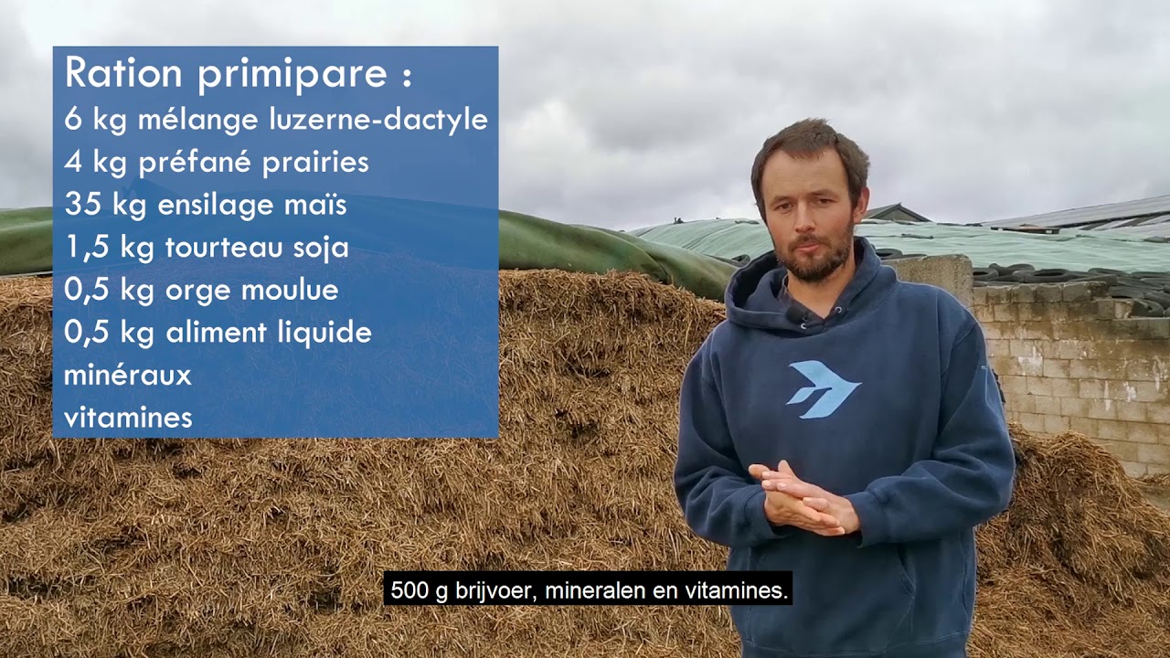 Visite de la ferme laitière Le Bailli/ Bezoek aan het melkveebedrijf Le Bailli