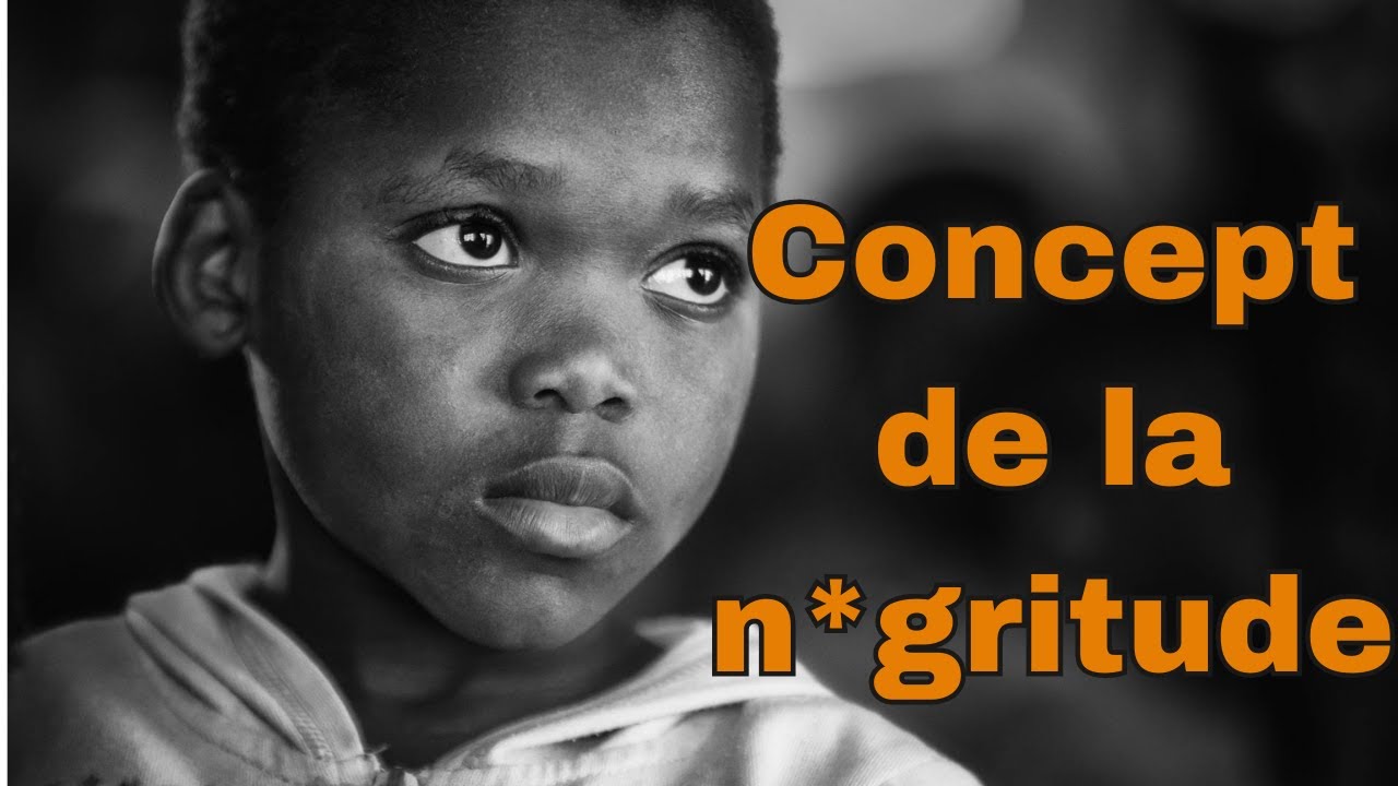 Qu'est-ce que le concept de la n*gritude?