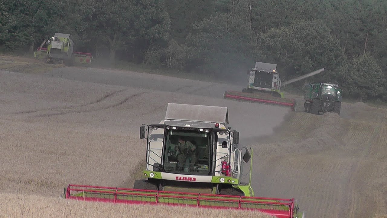 Żniwa 2016 #2 Jęczmień! 3xClaas 3xFendt MASSEY & KRONE☆Mariuszc72