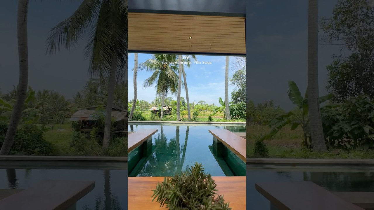 Villa Surga: 4BR Heavenly Ricefields View Villa in Ubud ✨ #villa #travel #bali #ubud #villabali