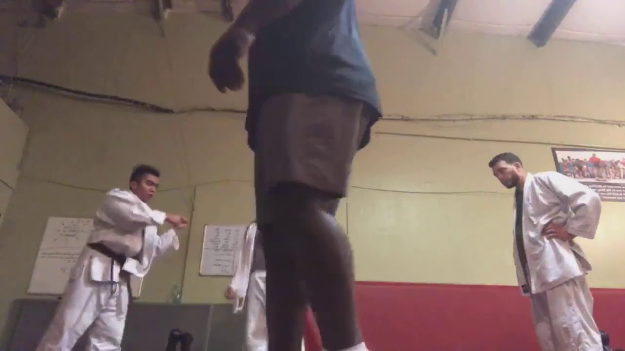 Martial Arts Lessons In | Tampa Florida Judo