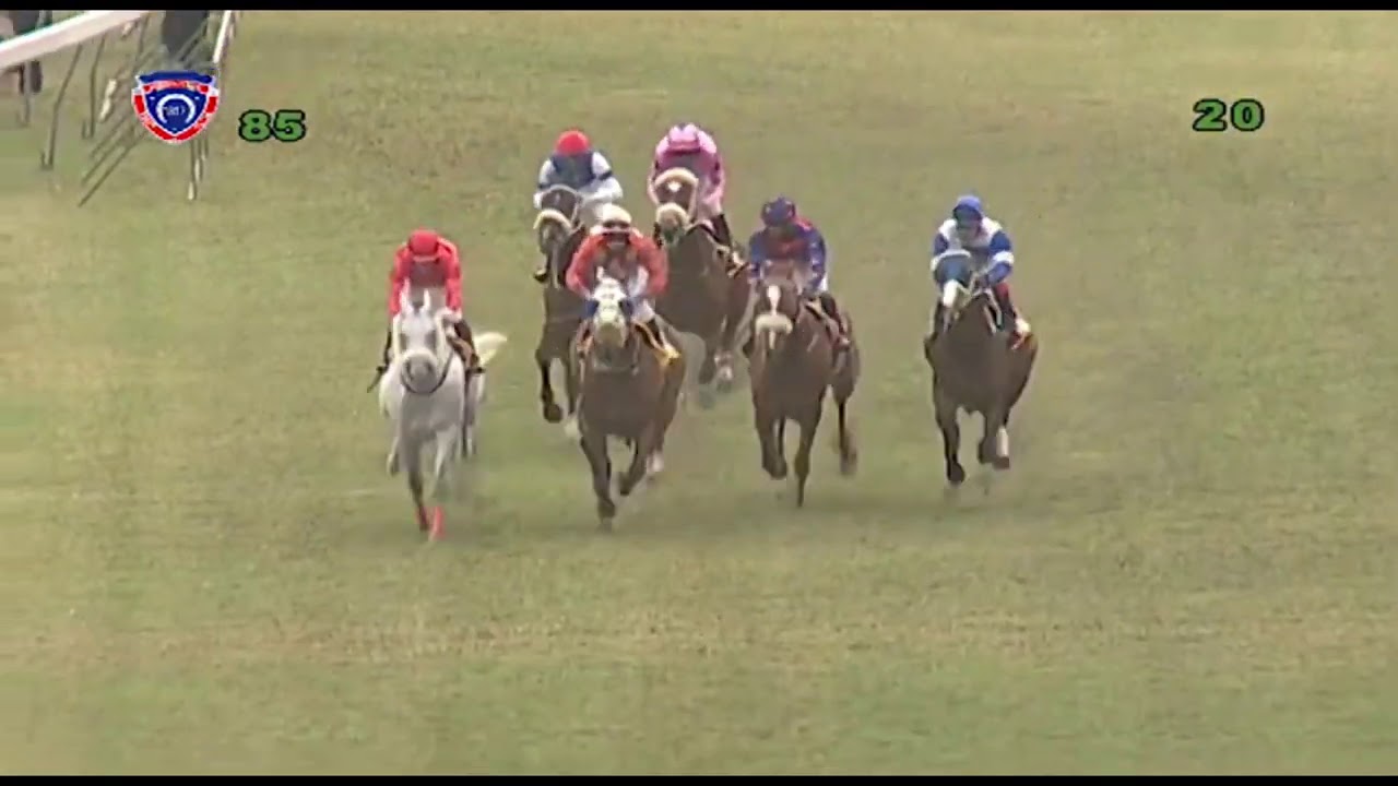 Mauritius Horse Racing 8th Meeting 2020
