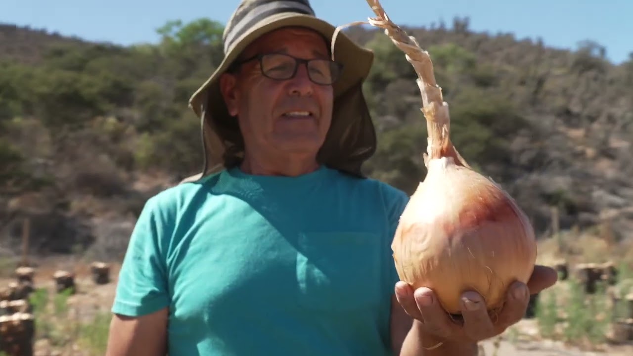 Where the Rivers Forget Their Names: Drought in Chile