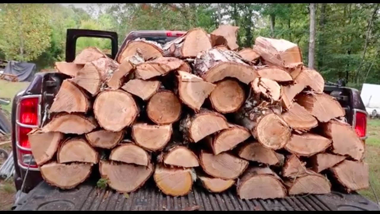 COLLECTING OAK FIREWOOD FOR WINTER!